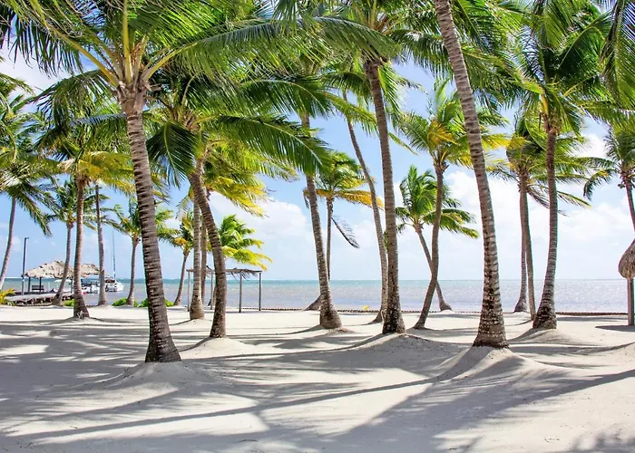 De Isla Bonita